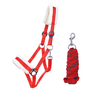 Set capezza e lunghina natalizia