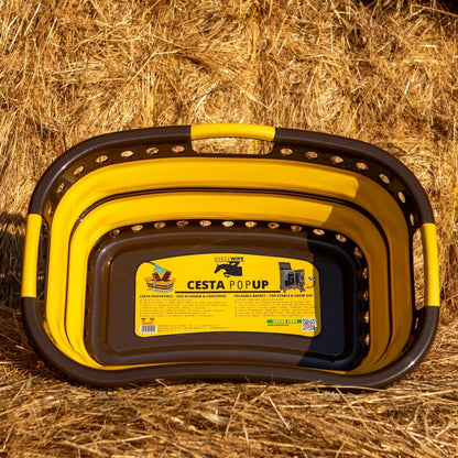 Cesta pop-up