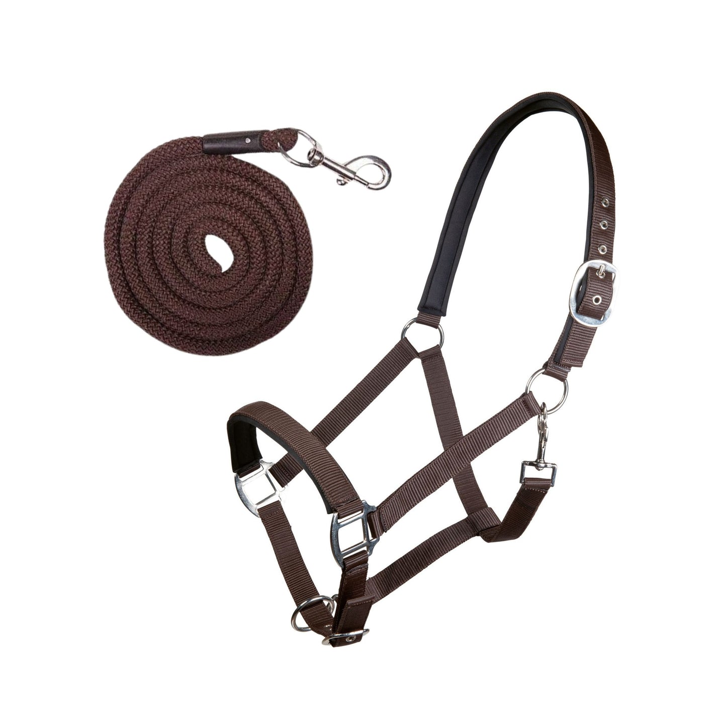 Set capezza e lunghina marrone