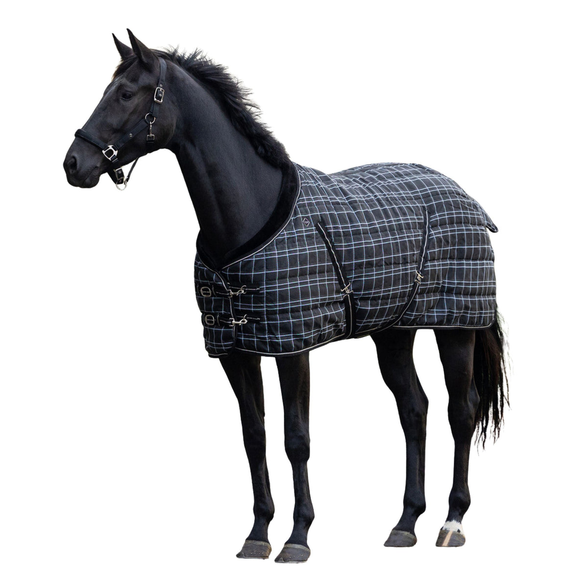 Coperta da box Luxury 250g