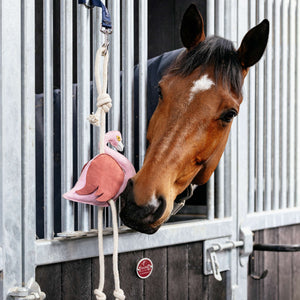 Gioco per cavalli Fenicottero