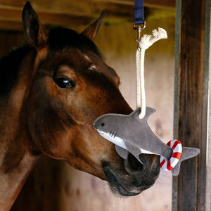 Gioco per cavalli Squaletto