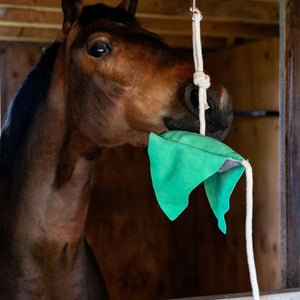 Gioco per cavalli Manta