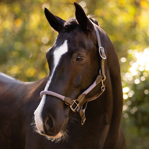Capezza e lunghina Ropella Lilla