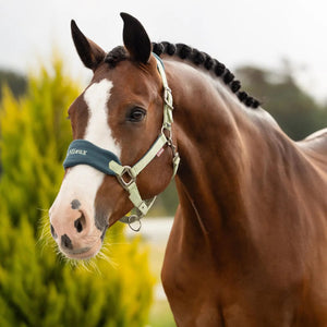 Capezza e lunghina Vogue - Macaron