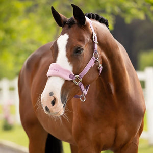 Capezza e lunghina Vogue - Mallow