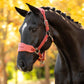 Capezza e lunghina Vogue - Russet