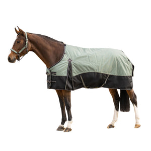 Coperta da paddock 150g