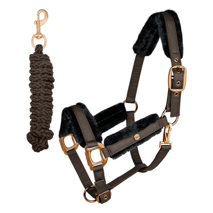 Set capezza e lunghina Phoenix - marrone
