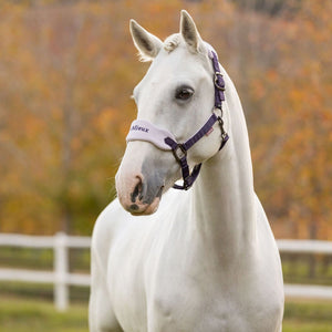 Capezza e lunghina Vogue - Lilac