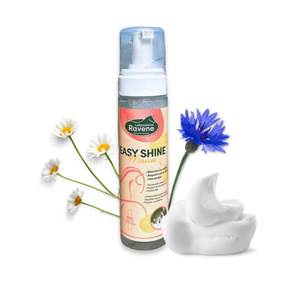 Smacchiatore a secco mousse