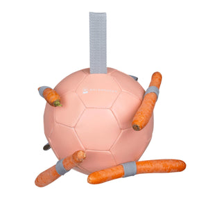 Gioco palla con carote