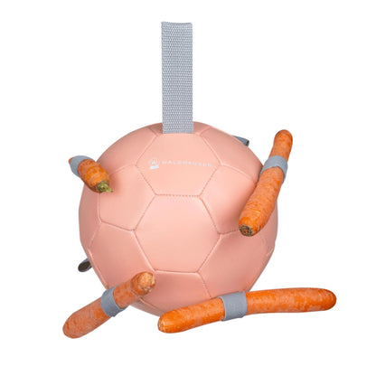 Gioco palla con carote