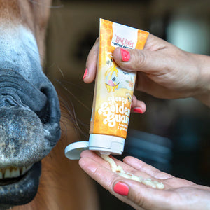 Balsamo labbra cavalli