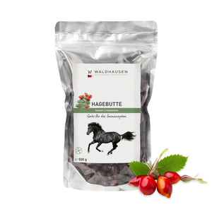 Bacche di rosa canina