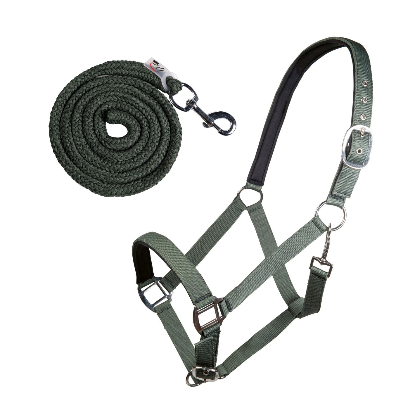 Set capezza e lunghina verde militare