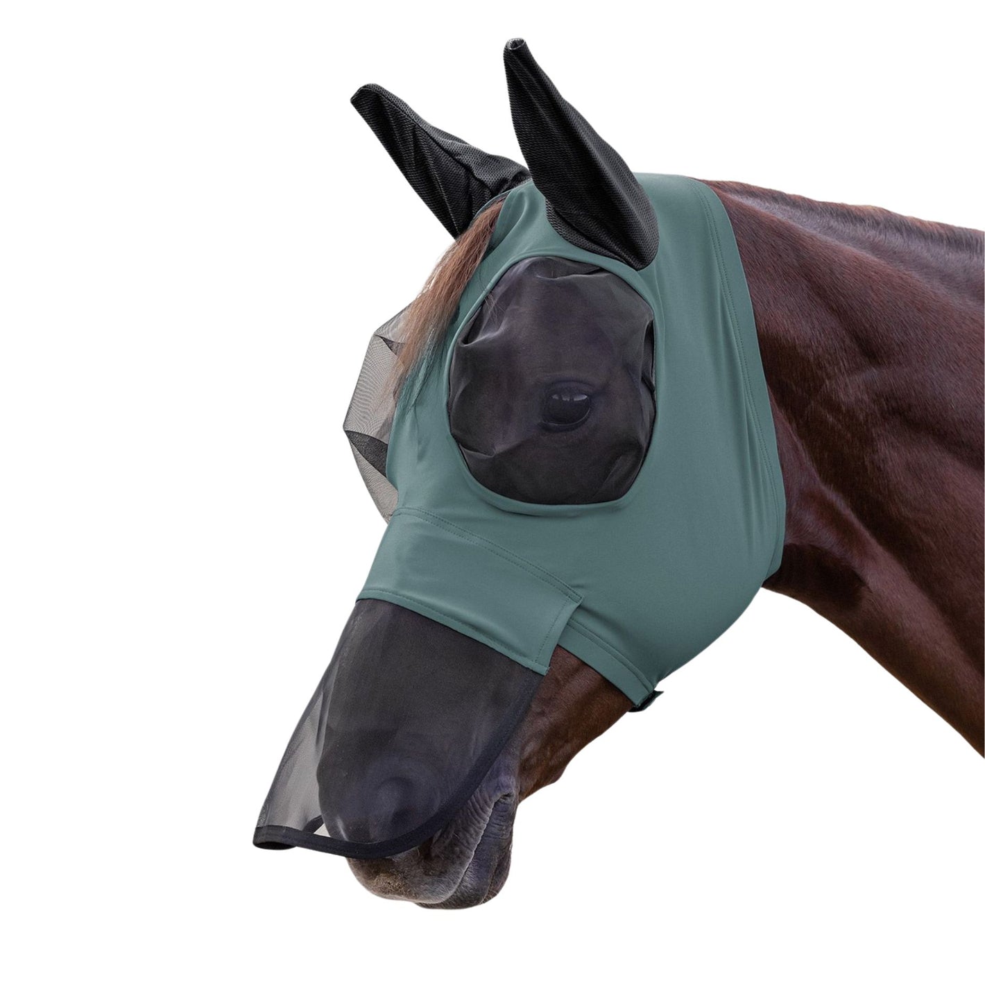Maschera anti-mosche con retina per il naso