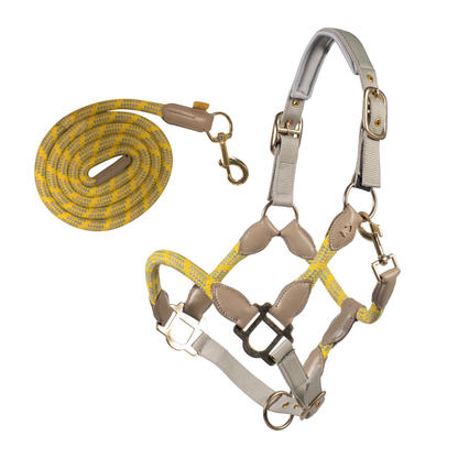 Set capezza e lunghina Limone